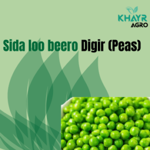 Sida loo beero Digir (Peas)