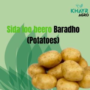 Sida loo beero Baradho (Potatoes 🥔)
